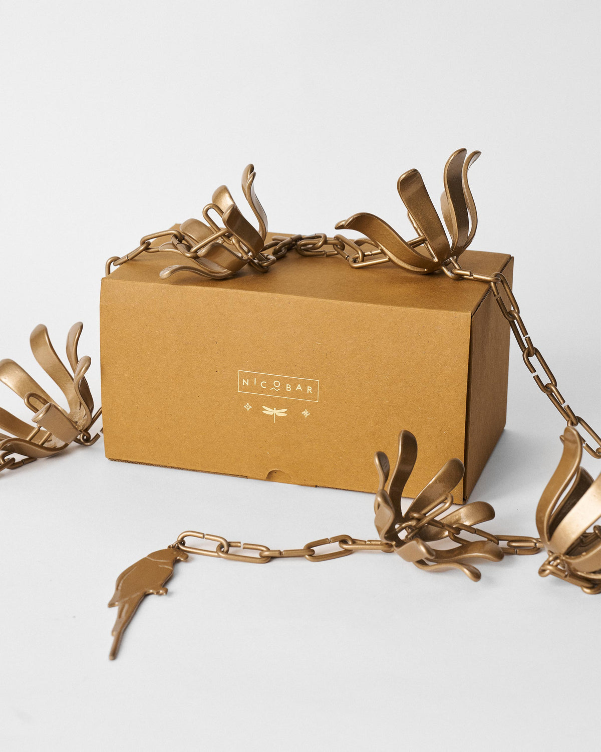 Madagascar Rain Chain laid out around a kraft Nicobar box.