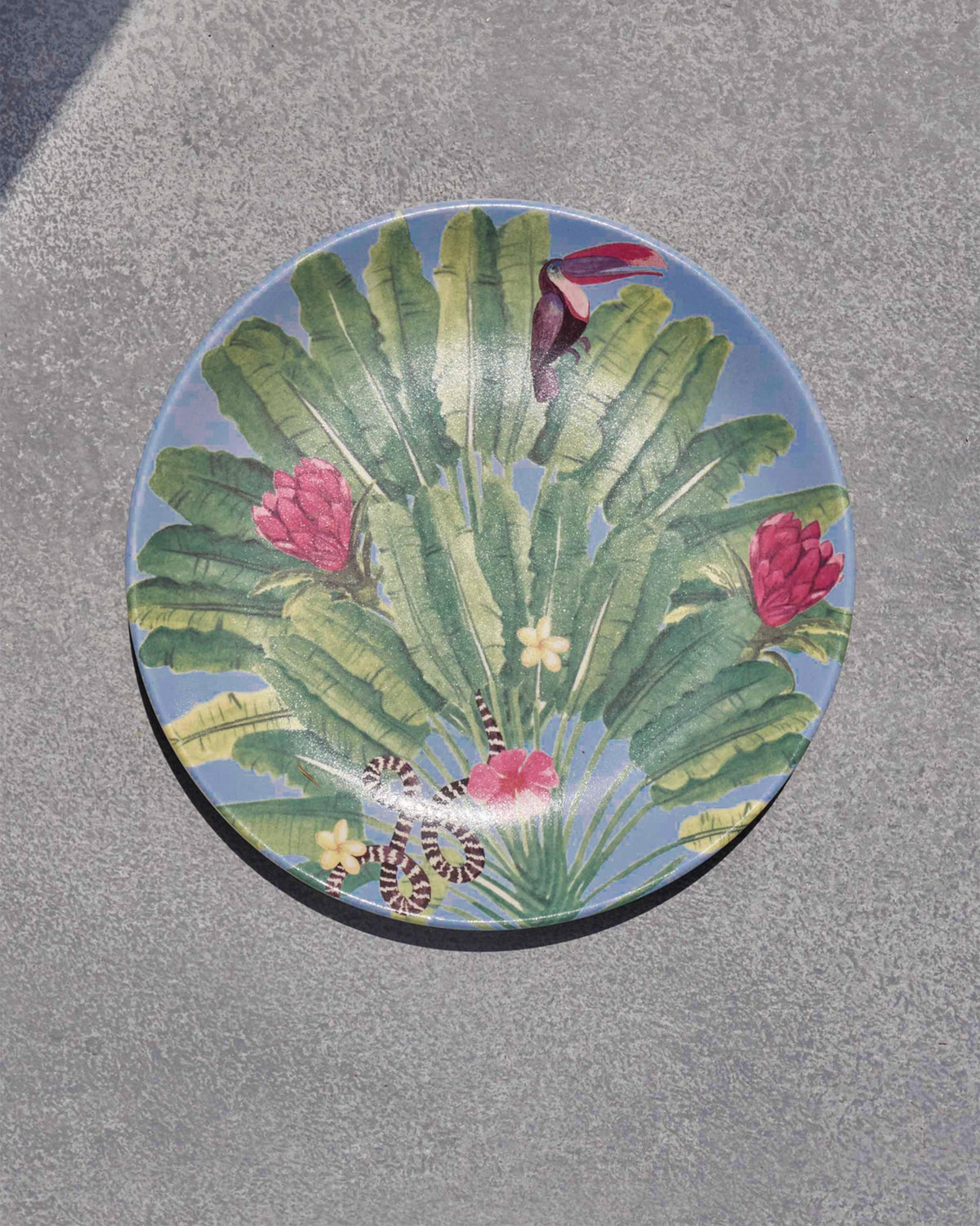 Madagascar plate with toucan, banana leaves, and pink tropical flowers.