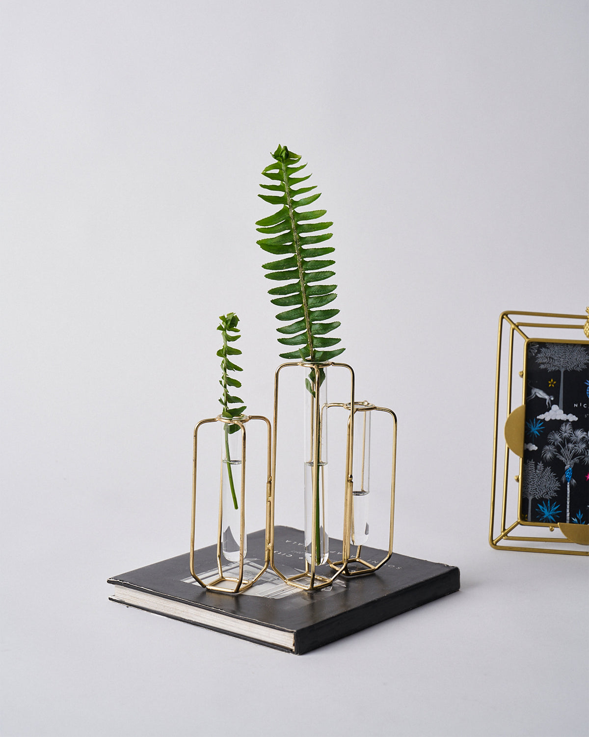 Gold wire test tube vases holding fern sprigs, standing on a black book.