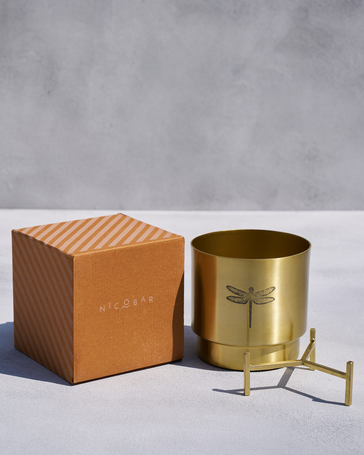 Gold Dune planter, stand, and Nicobar box showing the dragonfly motif.