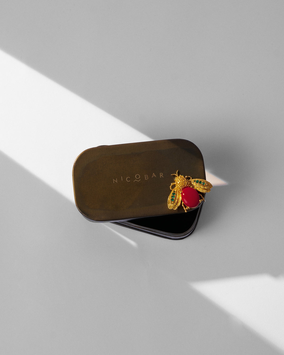 Gold Bug brooch resting on a dark Nicobar metal tin.
