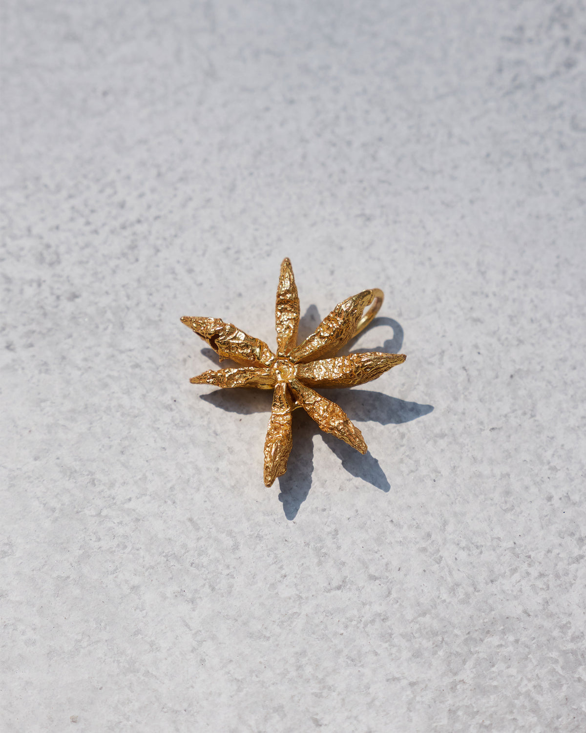 Close-up of a large gold Star Anise charm.