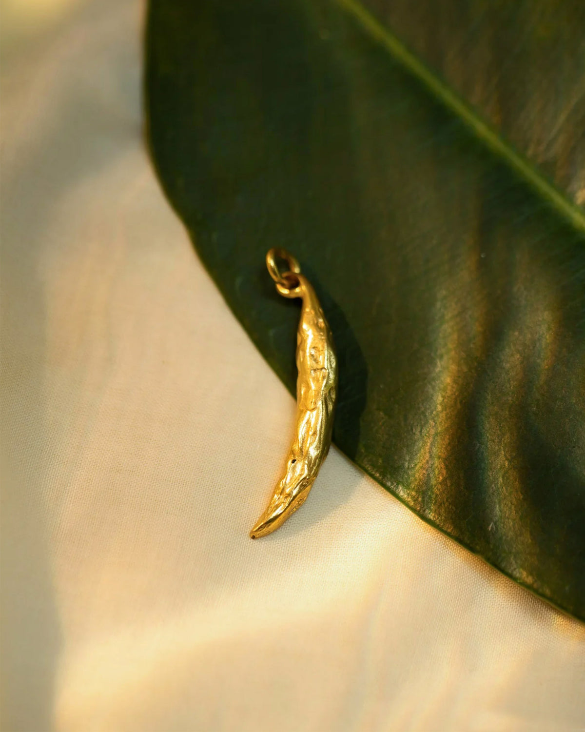 Gold chilli charm resting on a green leaf.