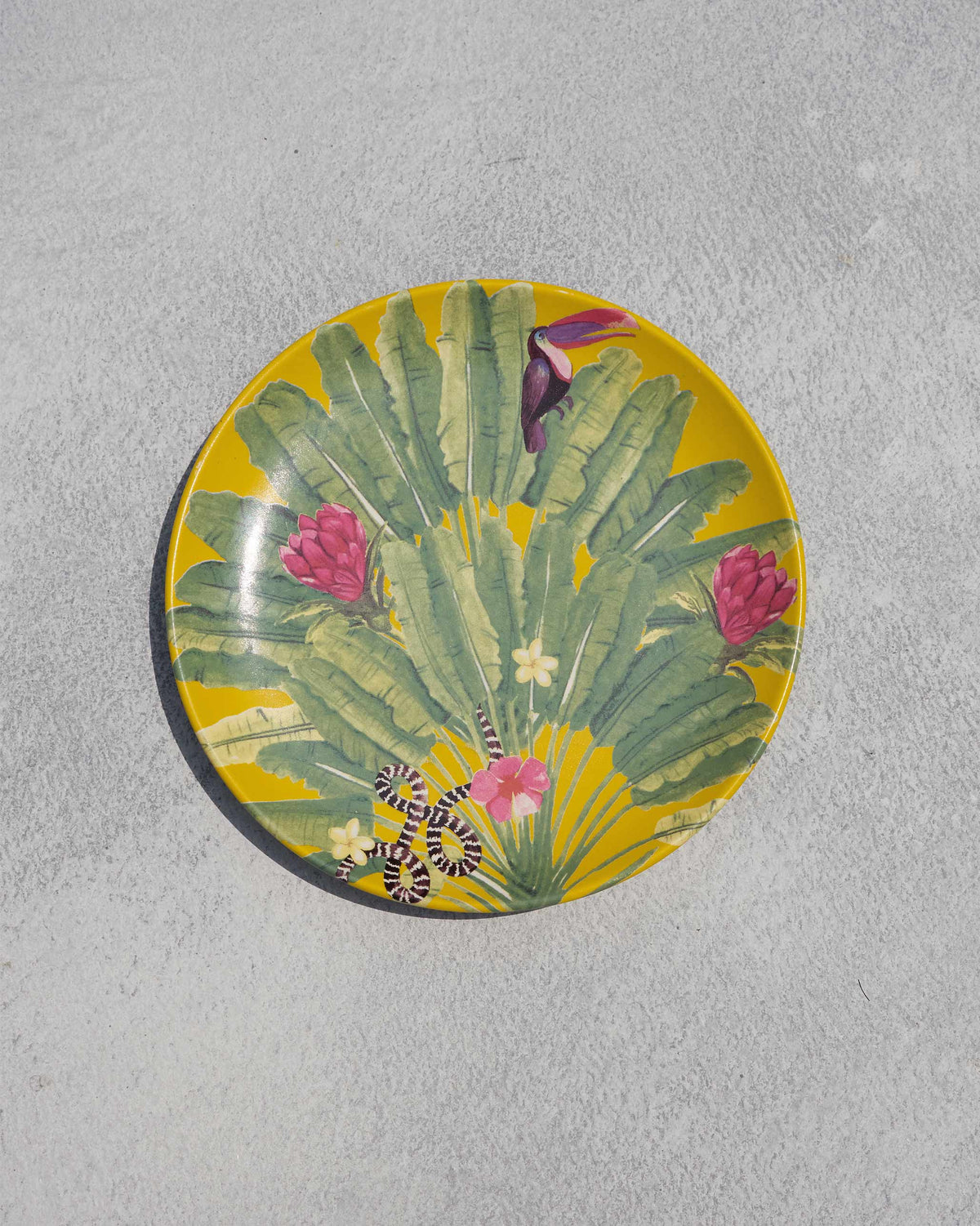Yellow Madagascar quarter plate with toucan, snake and banana leaves.