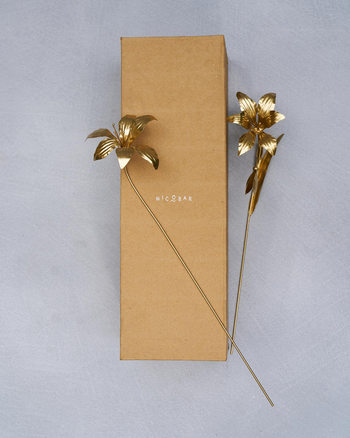 Gold Amaryllis accent stems beside a tall Nicobar gift box.