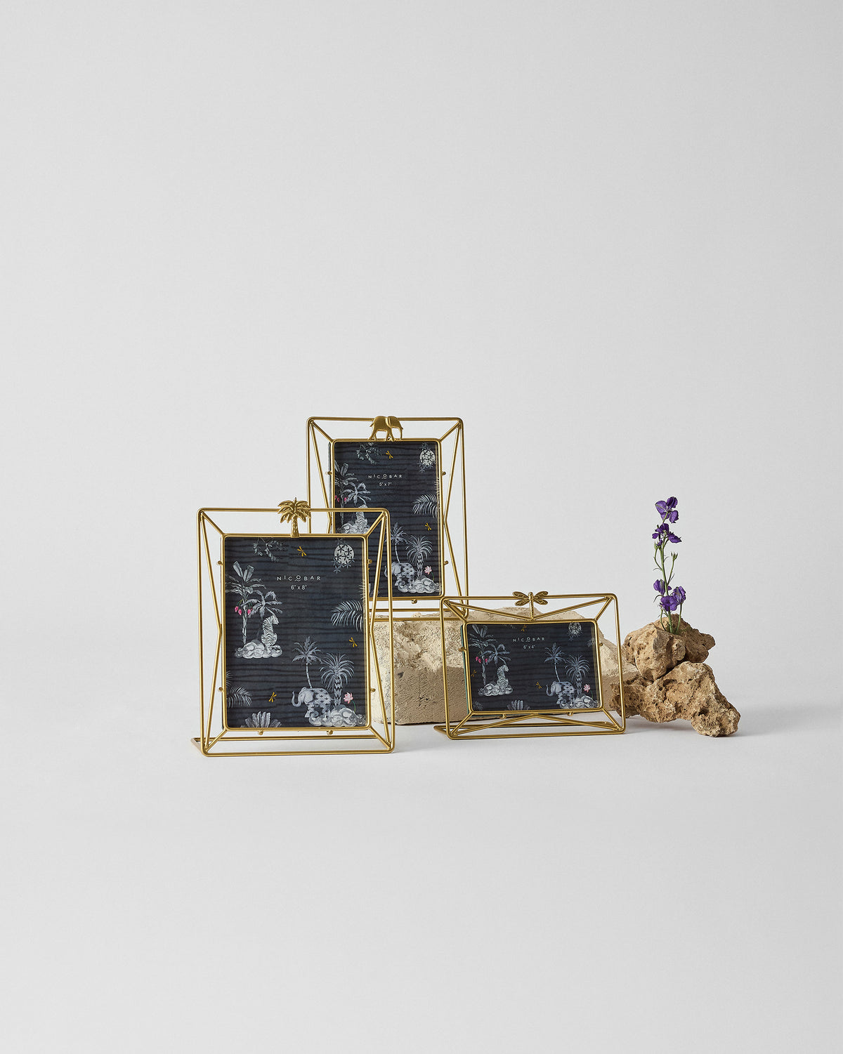 Three Nostalgia brass photo frames with palm, elephant, and dragonfly tops.