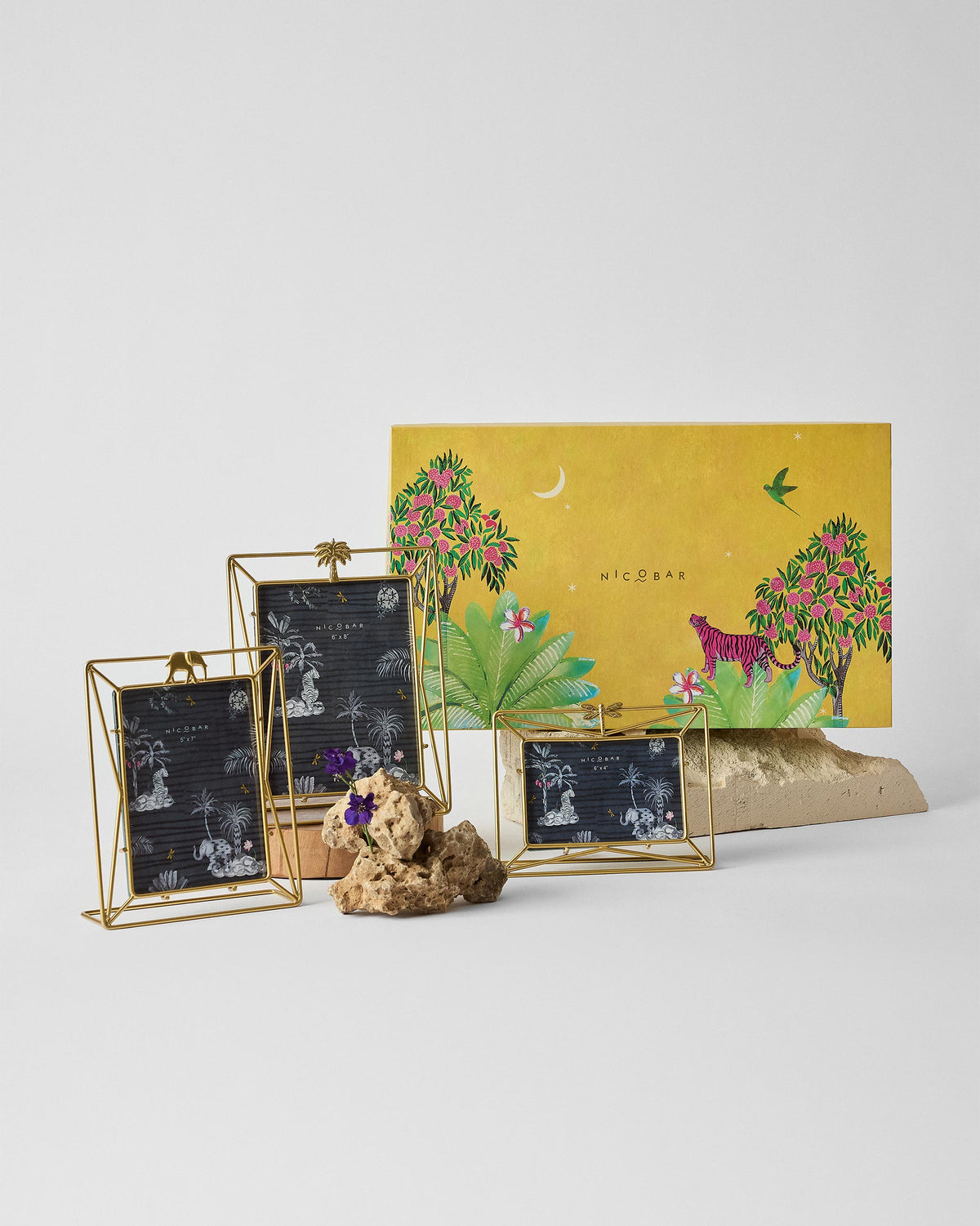 Nostalgia gift set of three brass photo frames with a jungle gift box.