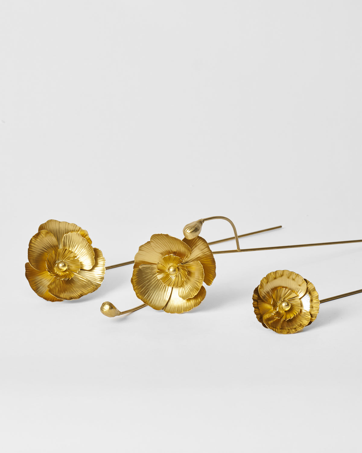Three gold Poppy accent stems laid flat showing ribbed open blooms.