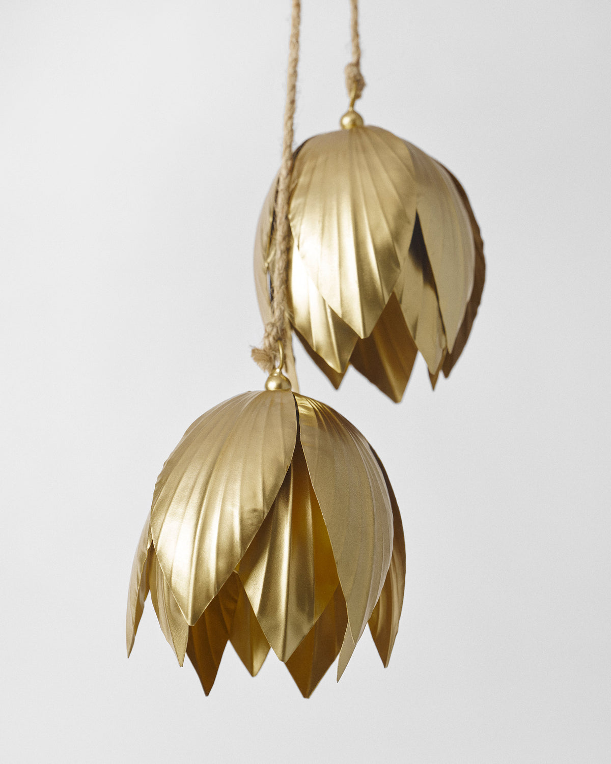 Close-up of gold lotus bells with ribbed petals hanging from jute cords.