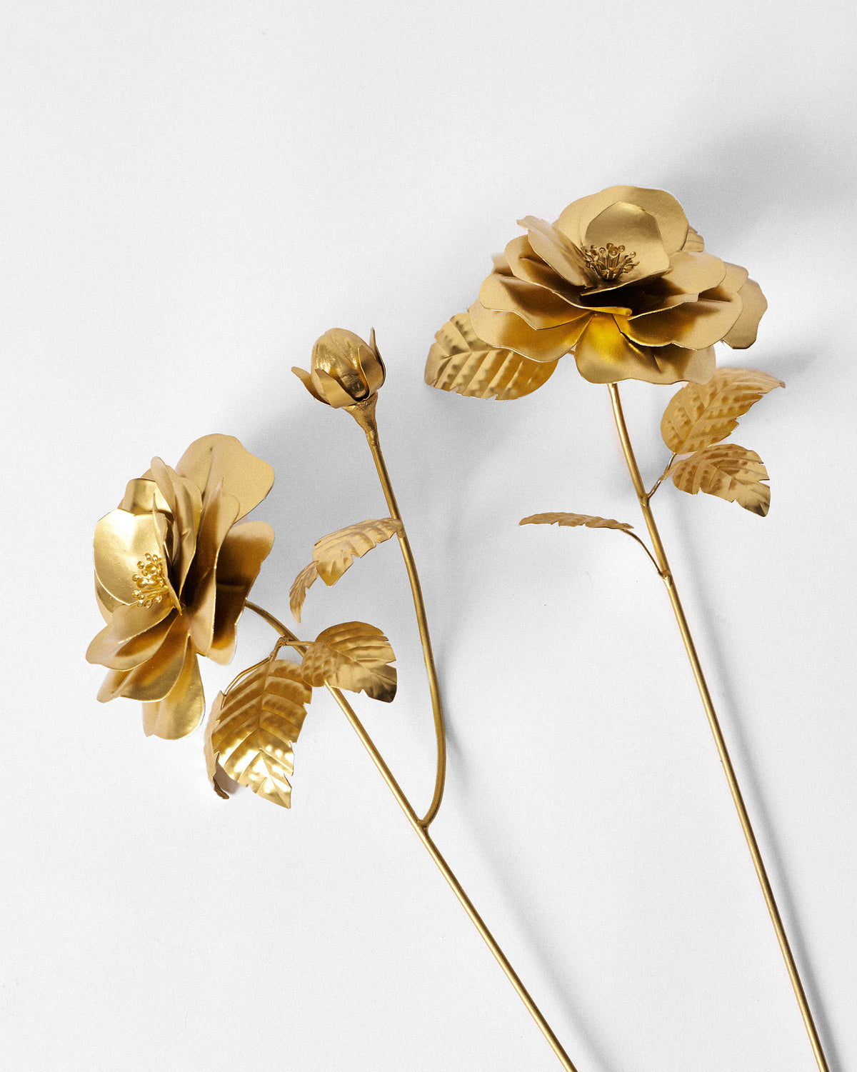 Two gold rose stems showing layered blooms, a bud, and veined leaves.