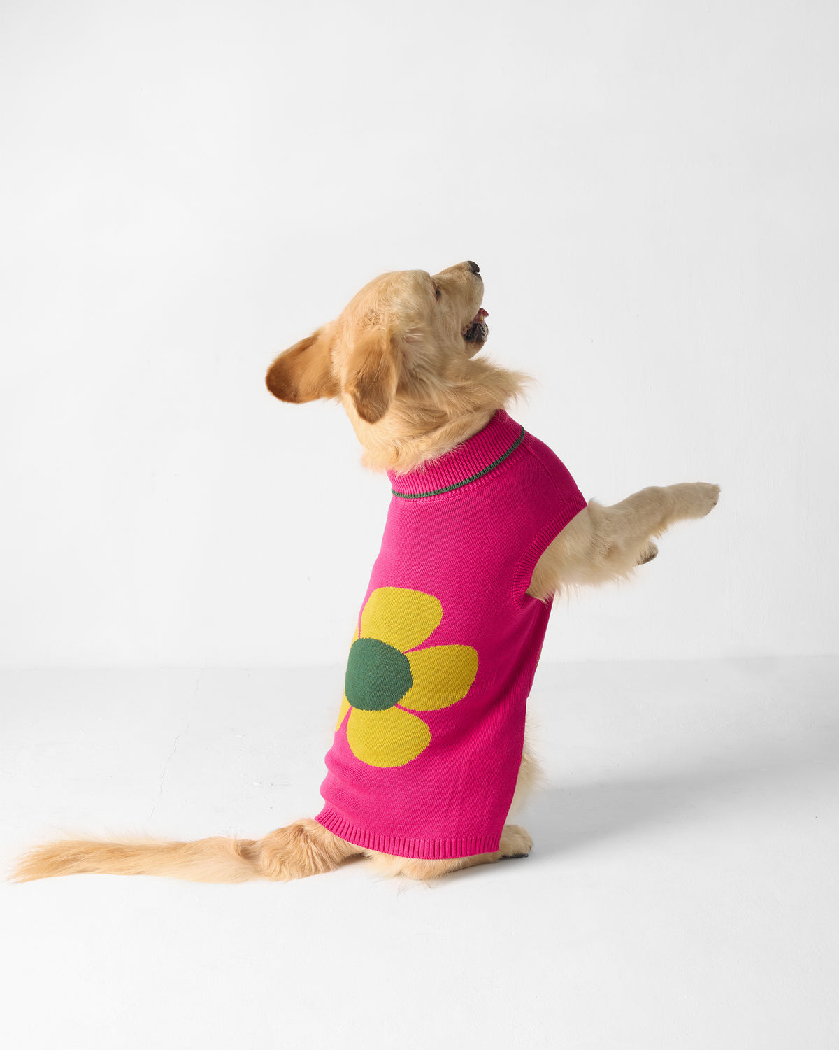 Side view of a dog in a fuchsia Bark Bloom sweater with a yellow flower.