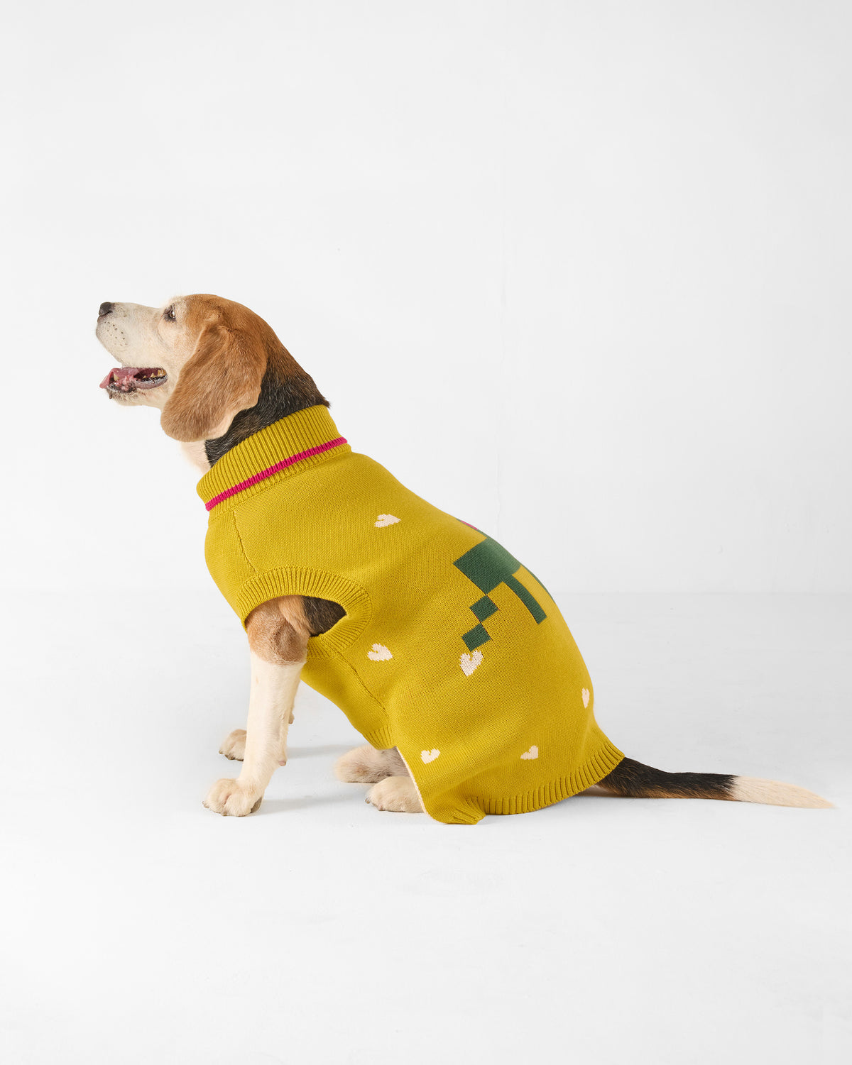 Side view of a dog wearing a chartreuse Jurassic Bark sweater.