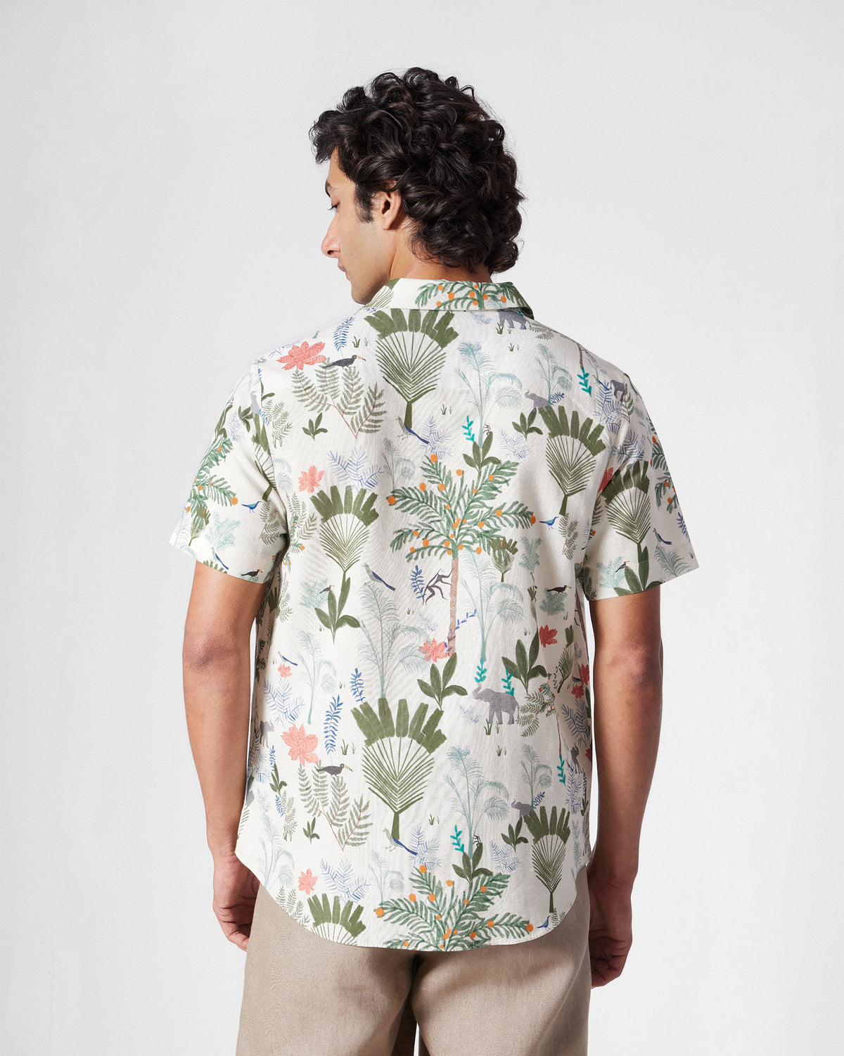 Back of a multicolour half-sleeve shirt with a monkey foliage print.