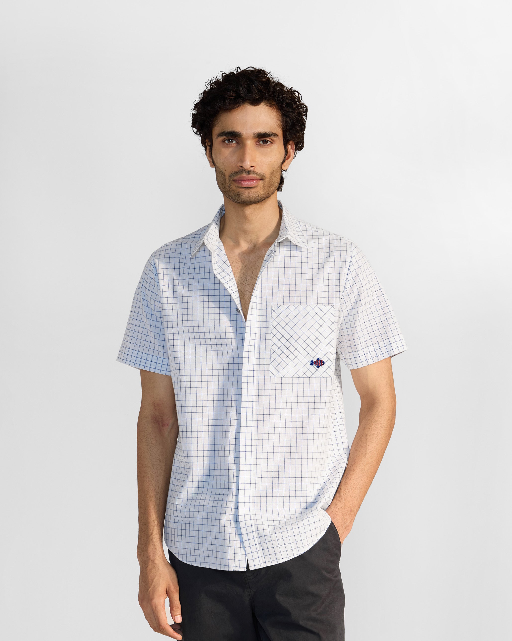 Parikrama Shirt - Navy & White Checks