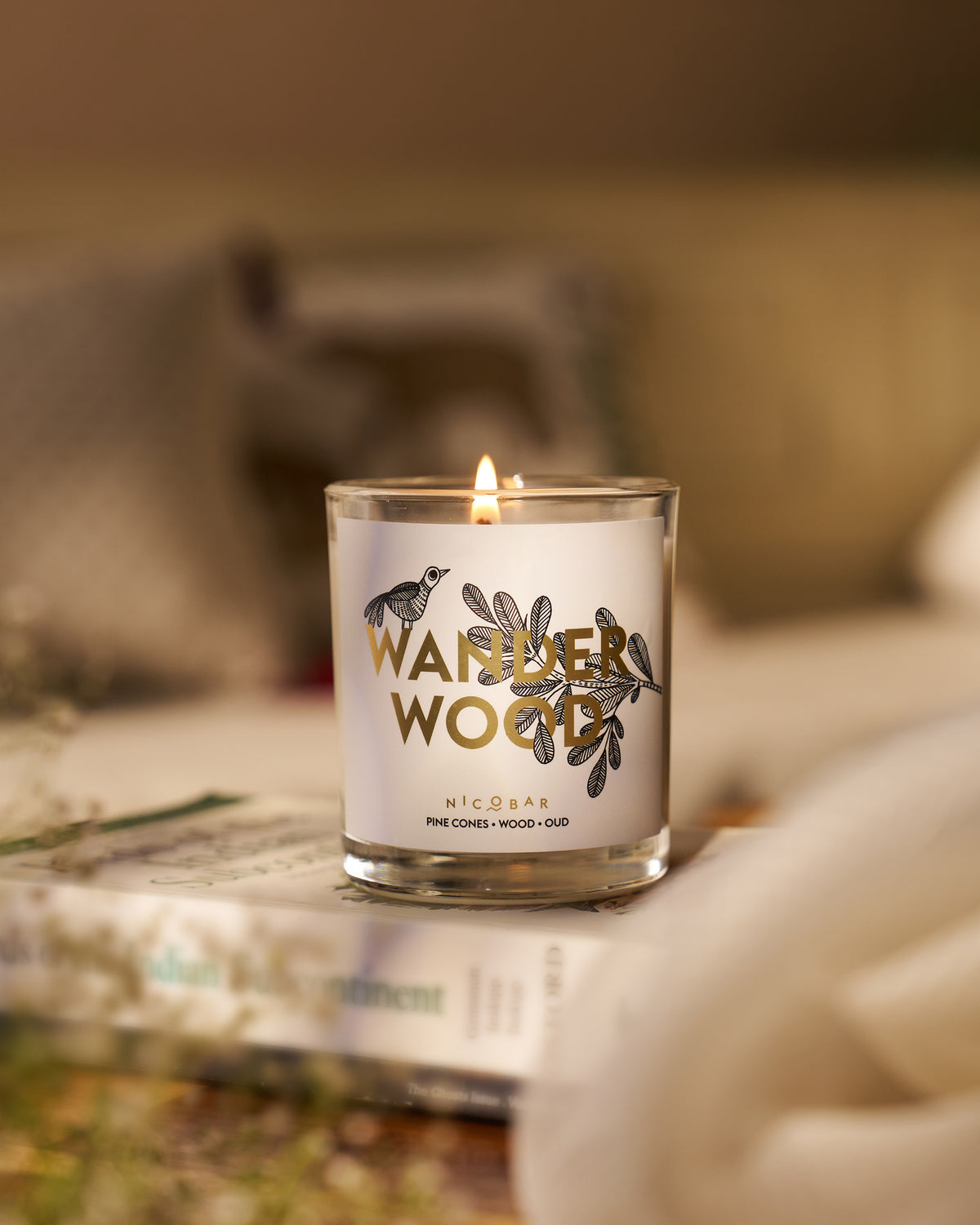 Lit Wanderwood candle in a glass jar resting on a book.