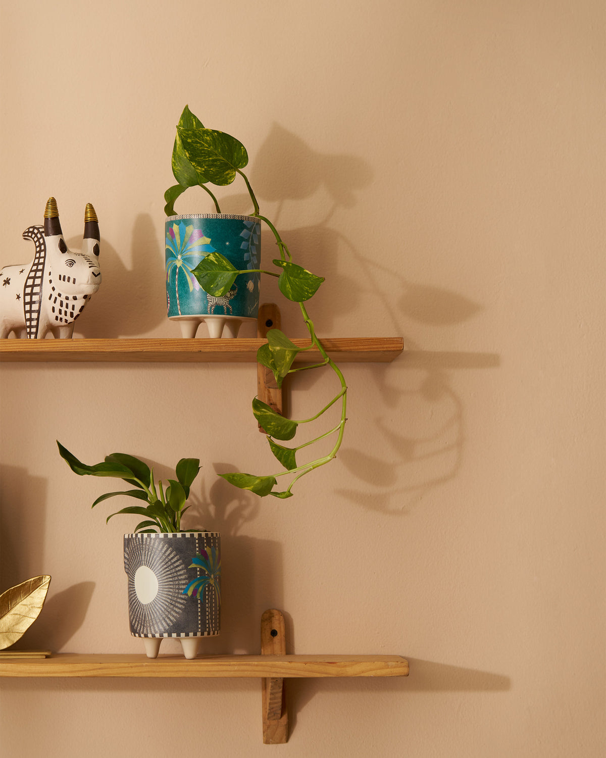 Palm Bloom planters holding green plants on wooden wall shelves.