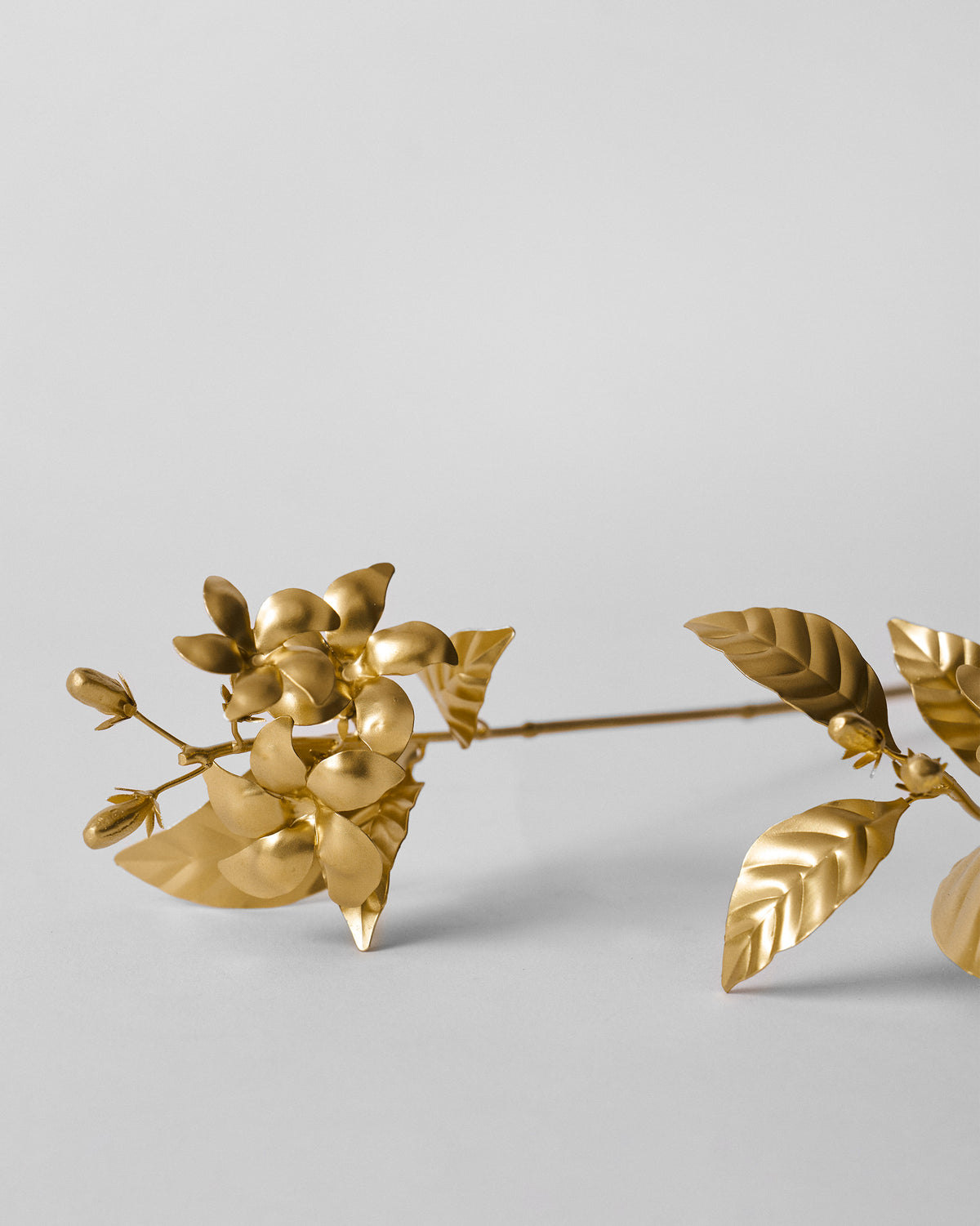 Close-up of a gold Mogra stem with blossoms and veined leaves.
