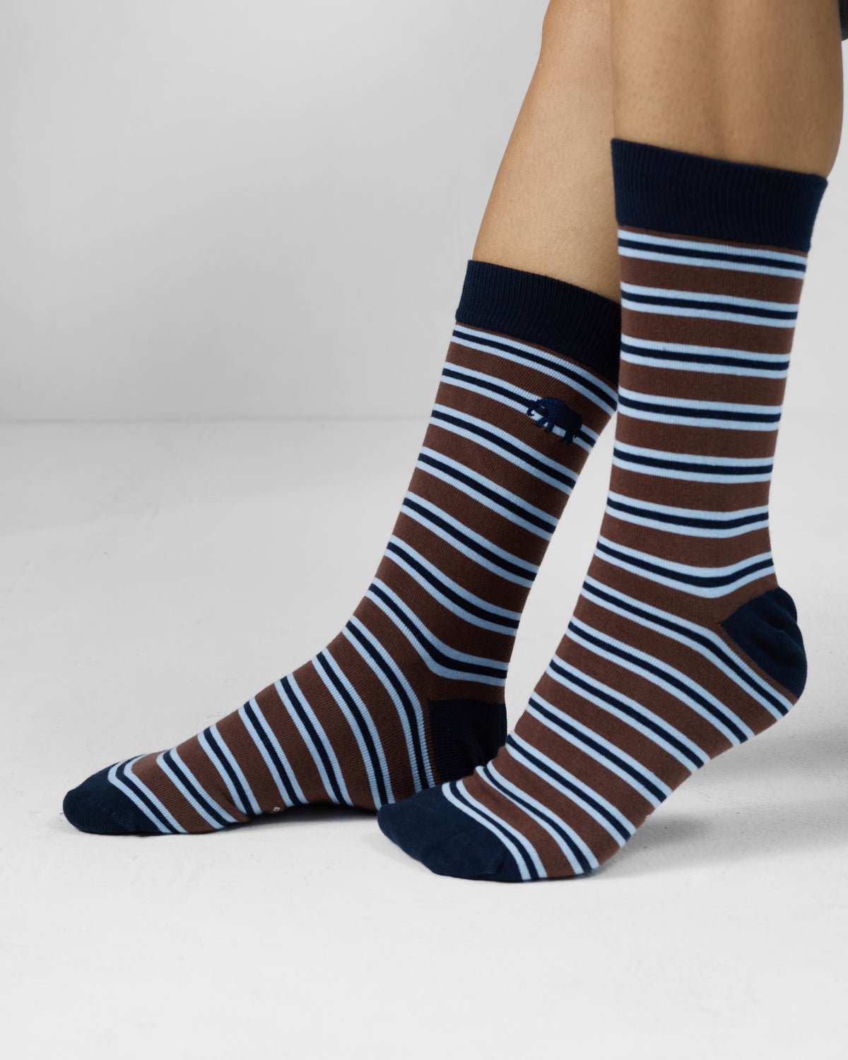 Brown Stripey Socks worn on feet with light blue stripes and navy cuff.