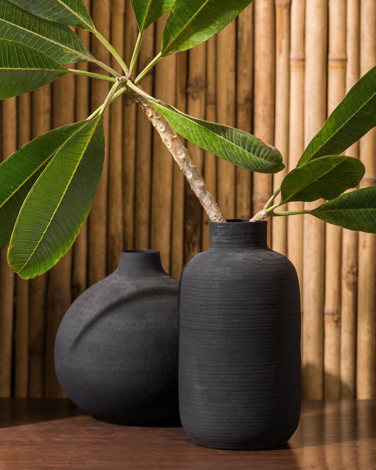 Ceylon Vase in matte black with a leafy branch, shown beside a second vase.