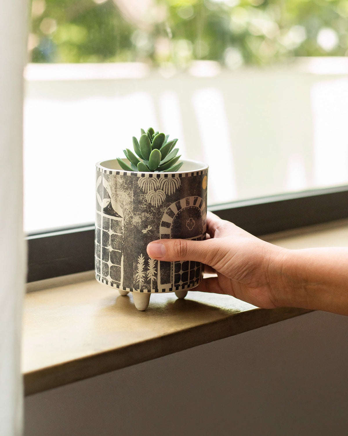 Hand holding a Monchrome planter with a succulent on a windowsill.