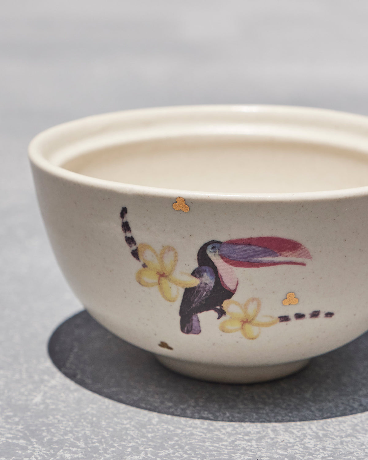 Close-up of the toucan and yellow flowers on a cream Toucan katori.