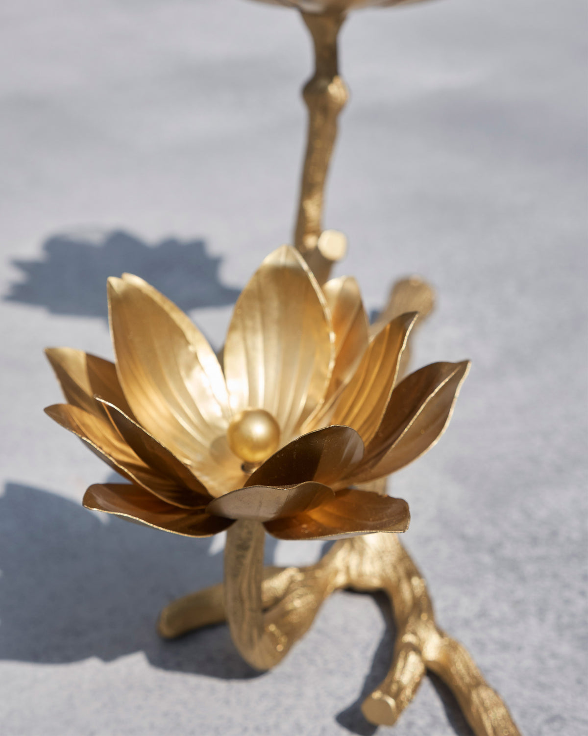 Close-up of a Kamal gold lotus bloom on a textured branch base.