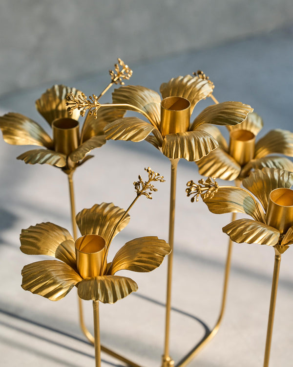 Close view of the gold hibiscus flowers