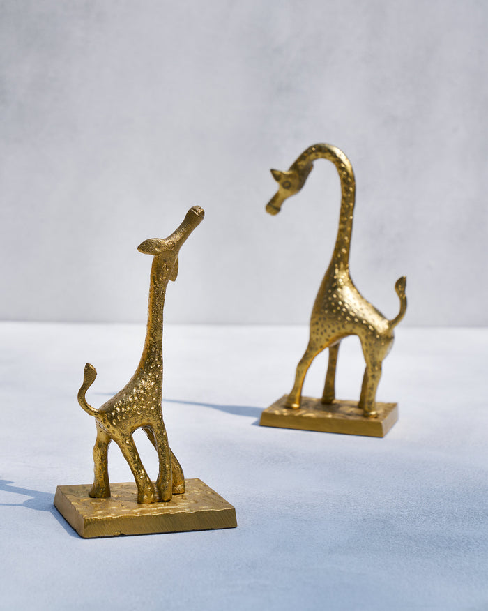 The two giraffes together