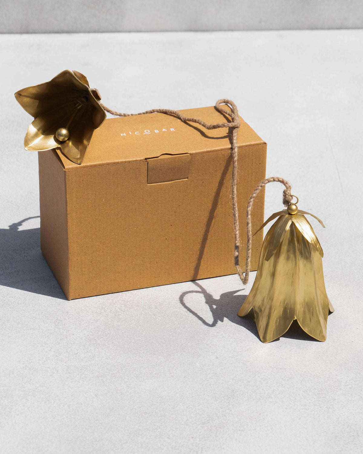 Botanical Bells on jute rope displayed with a Nicobar box.