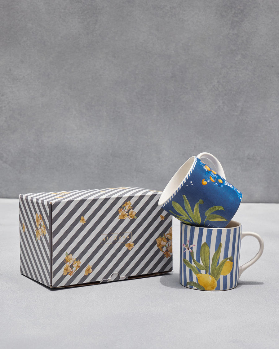 The mugs with their gift box.