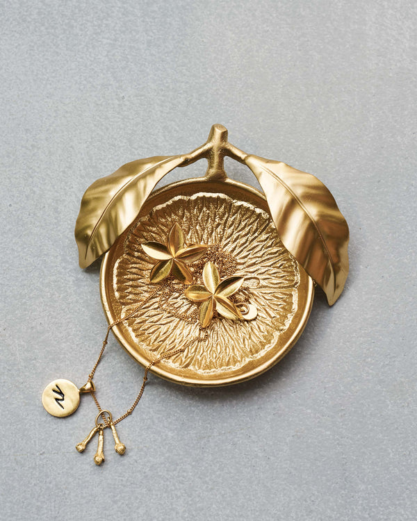 The tray holding earrings and a necklace