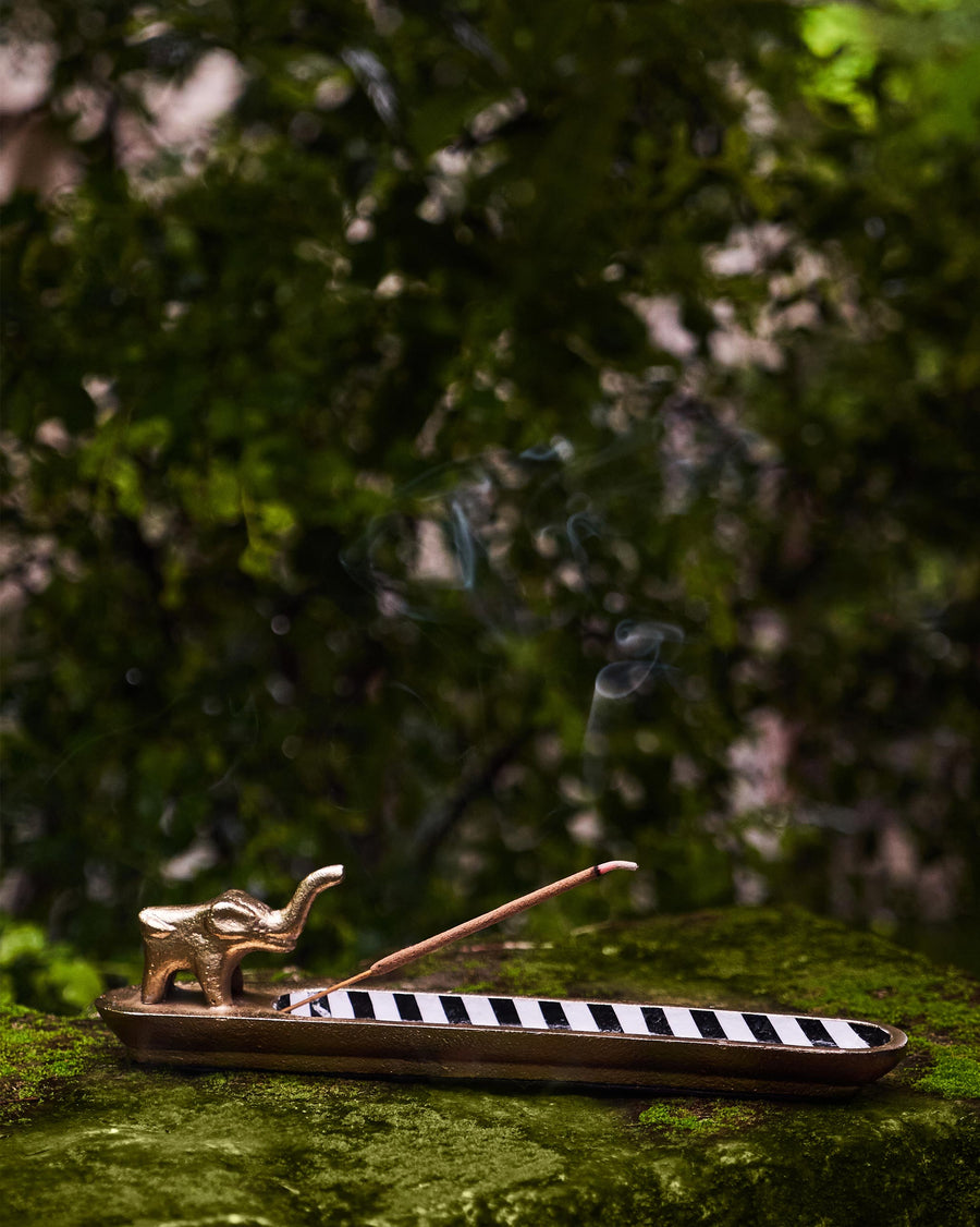 The incense holder on moss with a lit stick