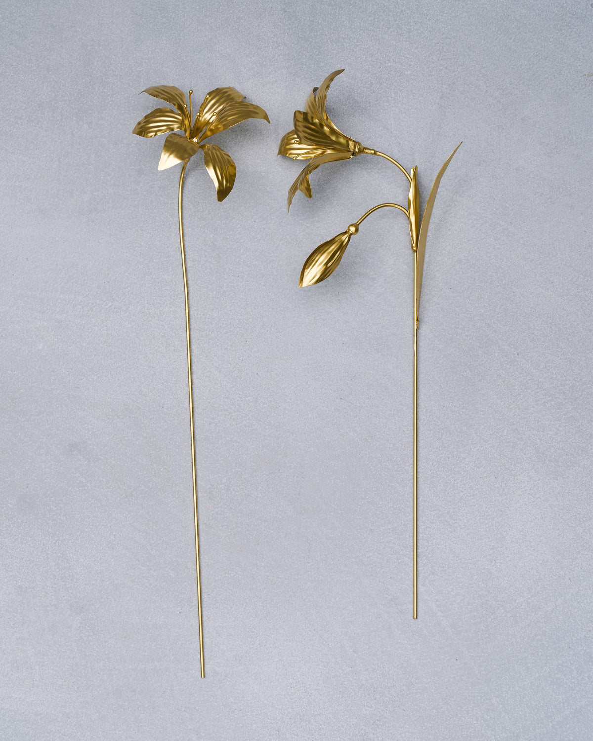 Pair of gold Amaryllis accent stems laid flat showing bloom and bud.