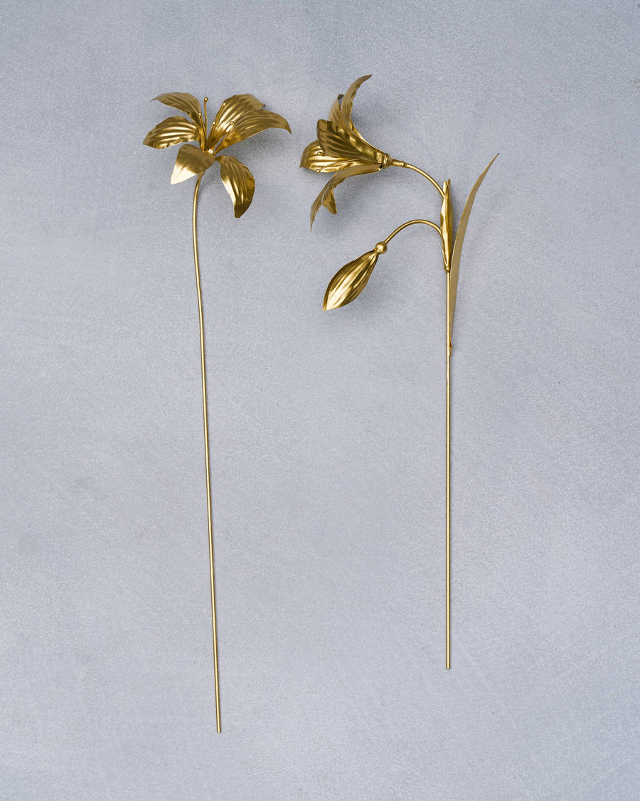 The two amaryllis stems.