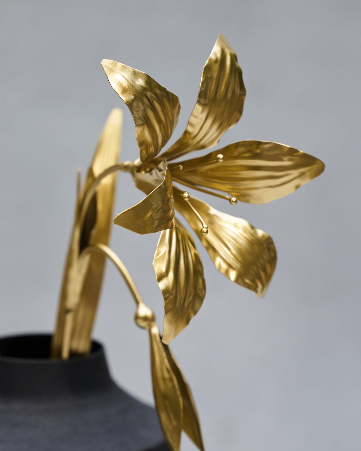 Close-up of a gold Amaryllis bloom with ribbed petals and metal stamens.