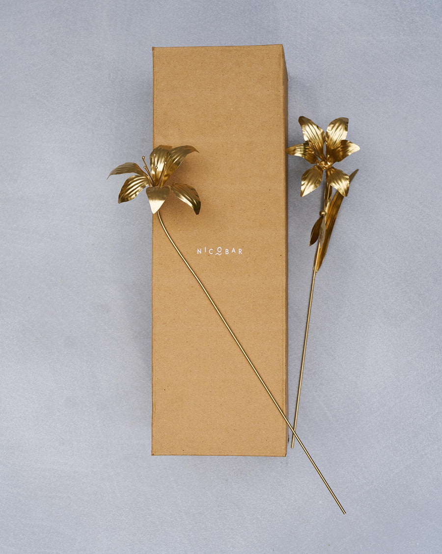 The stems beside their kraft gift box.