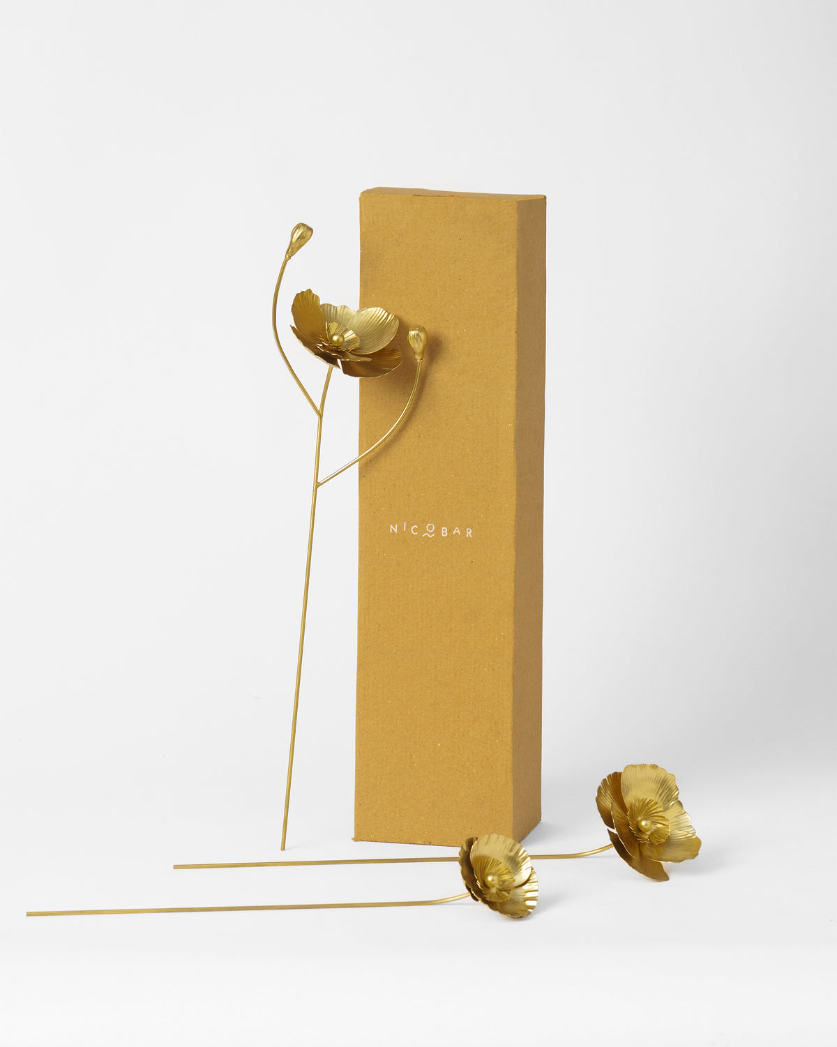 Gold Poppy accent stems with a mustard Nicobar gift box.