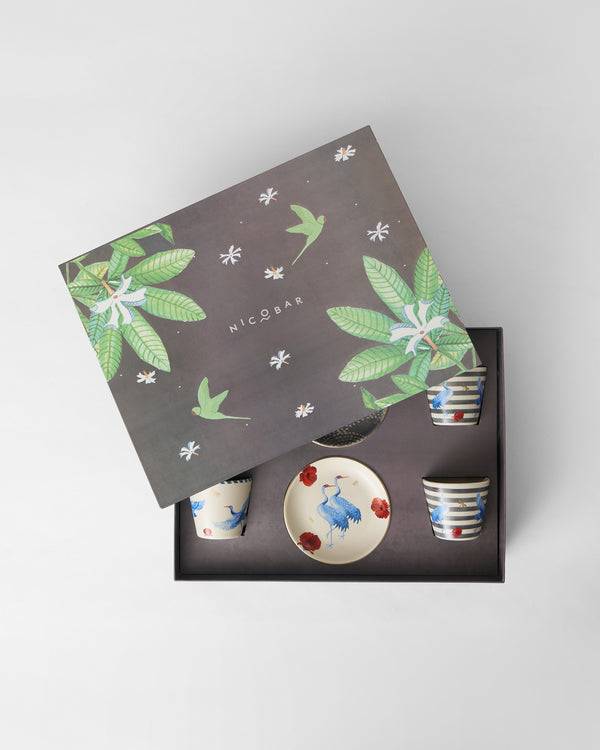 The box with its lid lifted, cups and plates in their foam slots