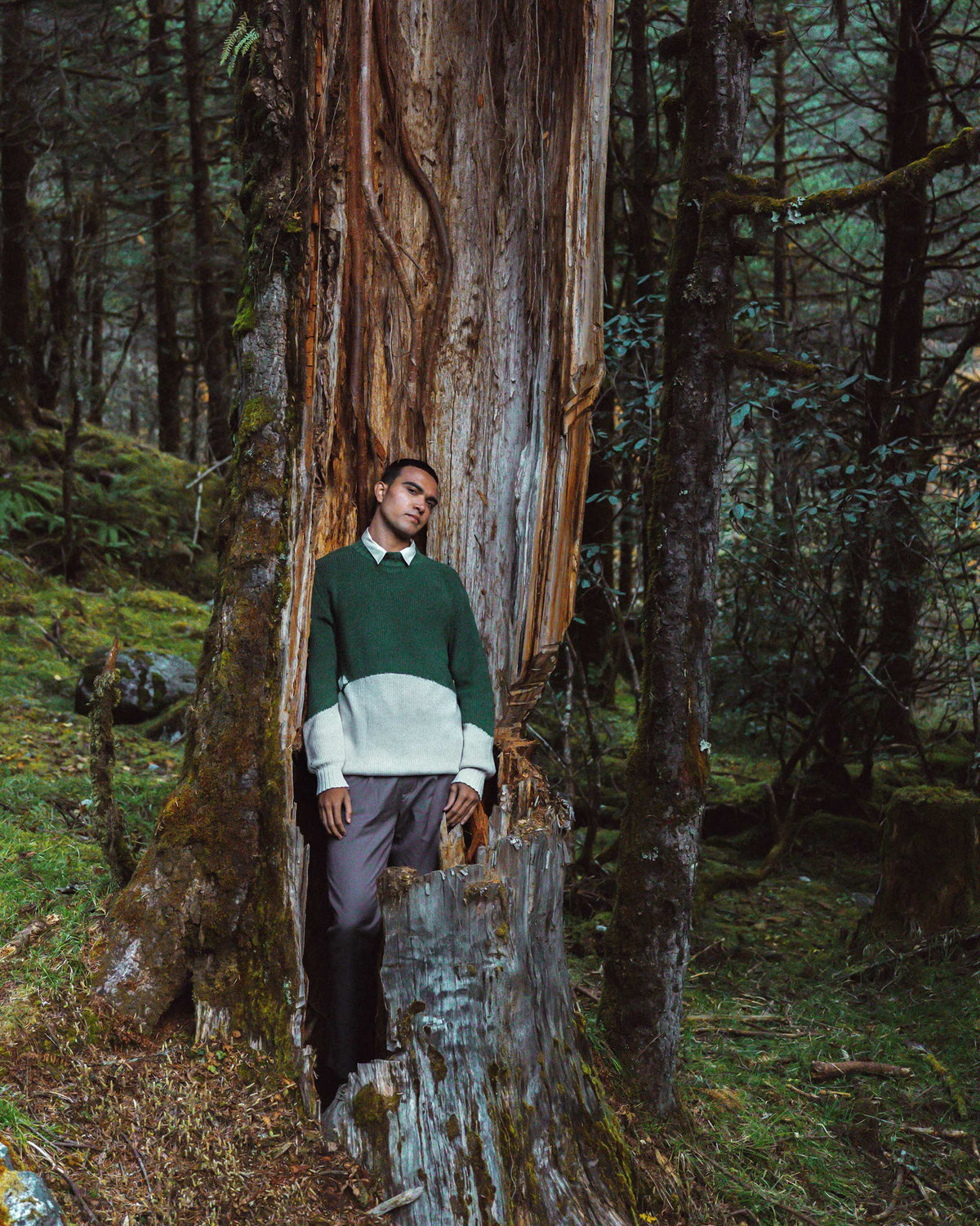Full-length green and ivory colour-block crew neck sweater worn outdoors.