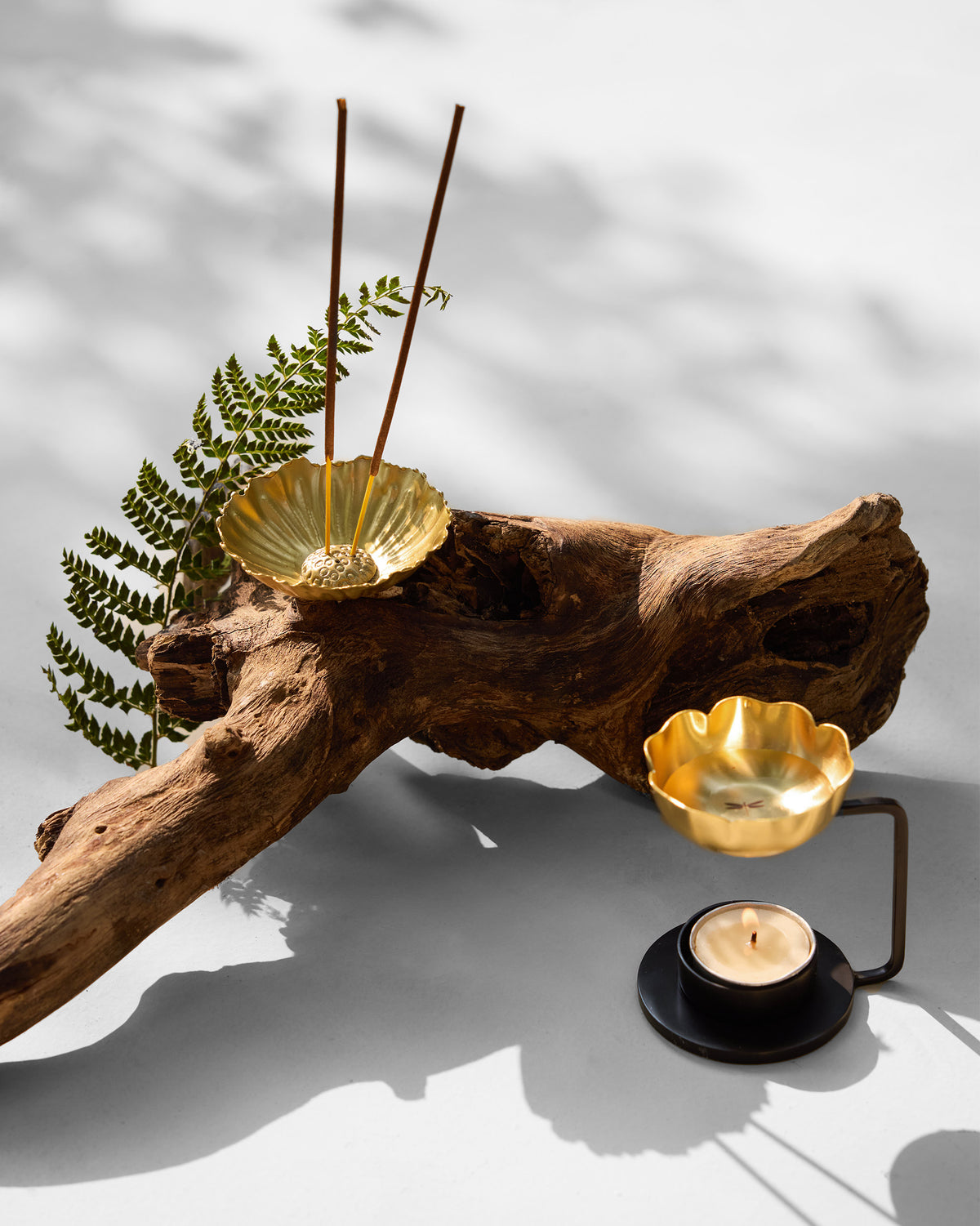 The Bloom diffuser with fern and incense.