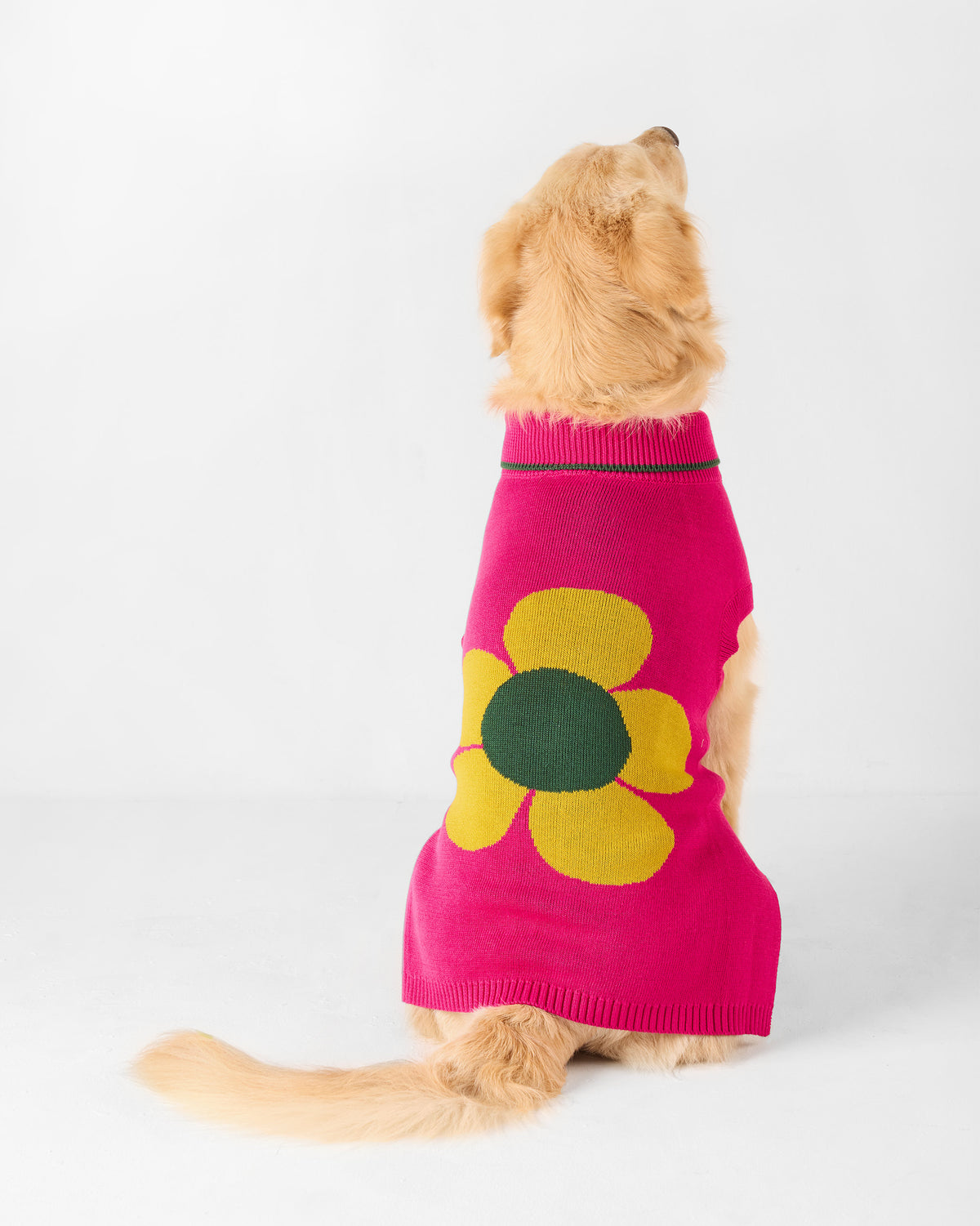 Back of a fuchsia Bark Bloom dog sweater with a large yellow flower.