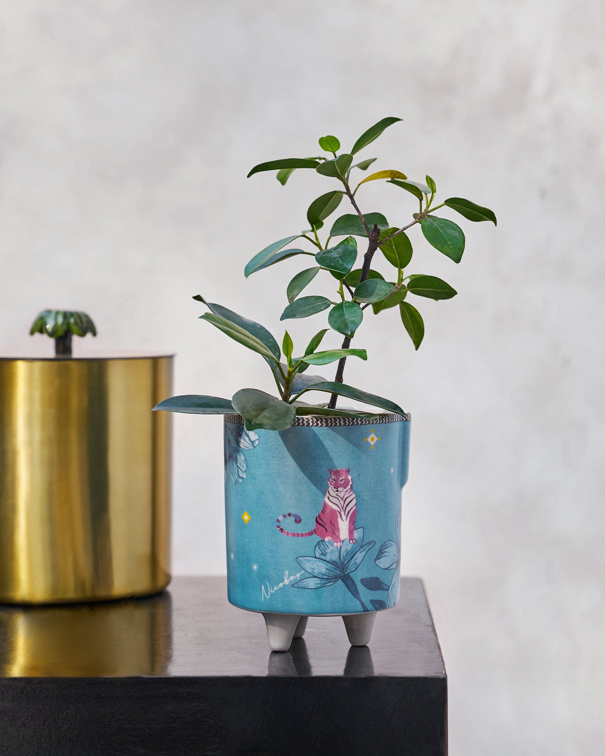 River Tiger Planter