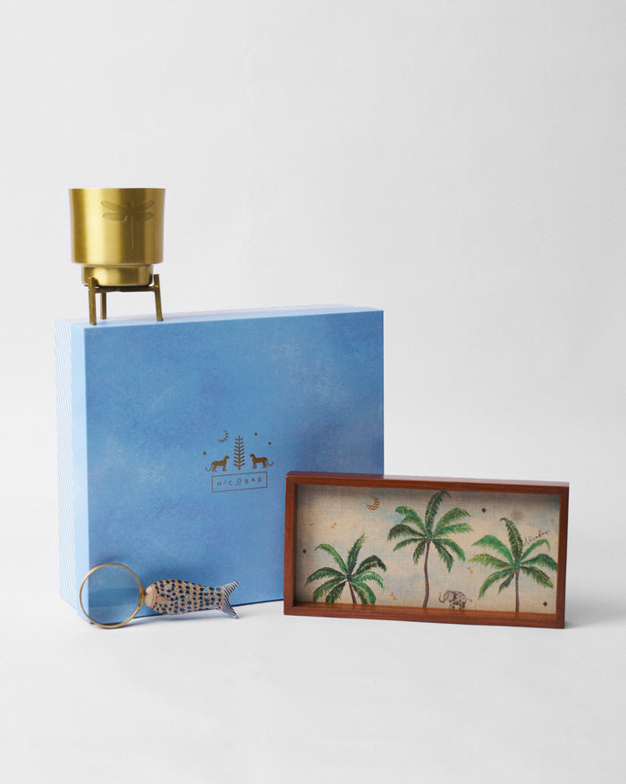 Explorer gift set with planter, tropical tray, and fish magnifying glass.