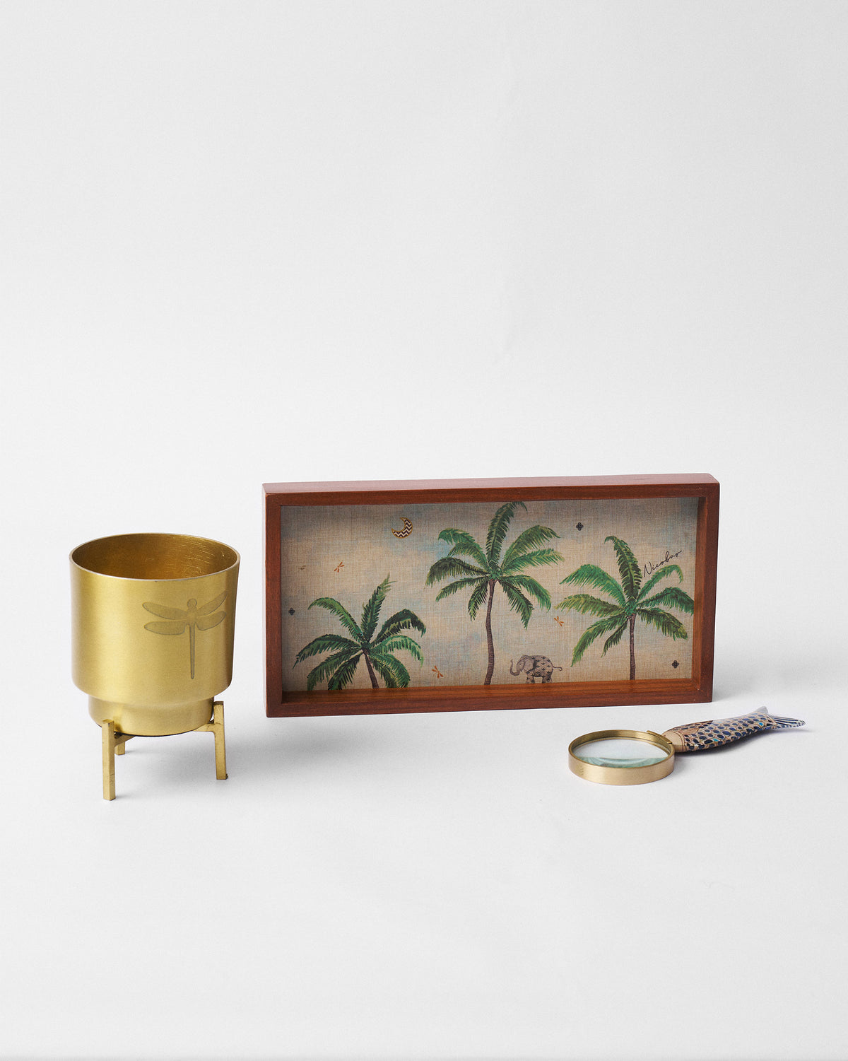 Explorer set: gold dragonfly planter, palm tray, and fish magnifier.