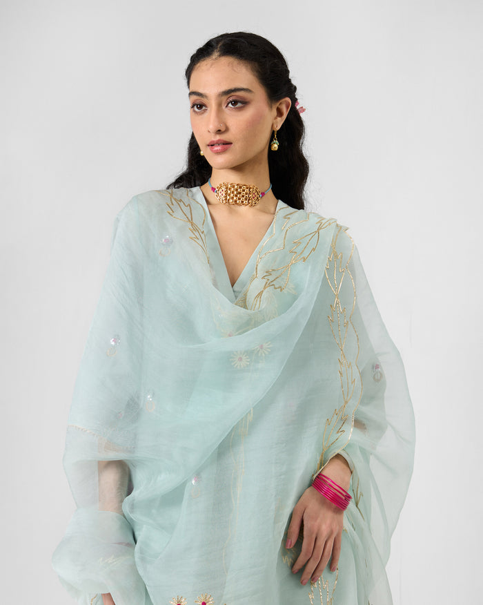 Person wearing a powder blue Kasara Dupatta with gold gota embroidery.