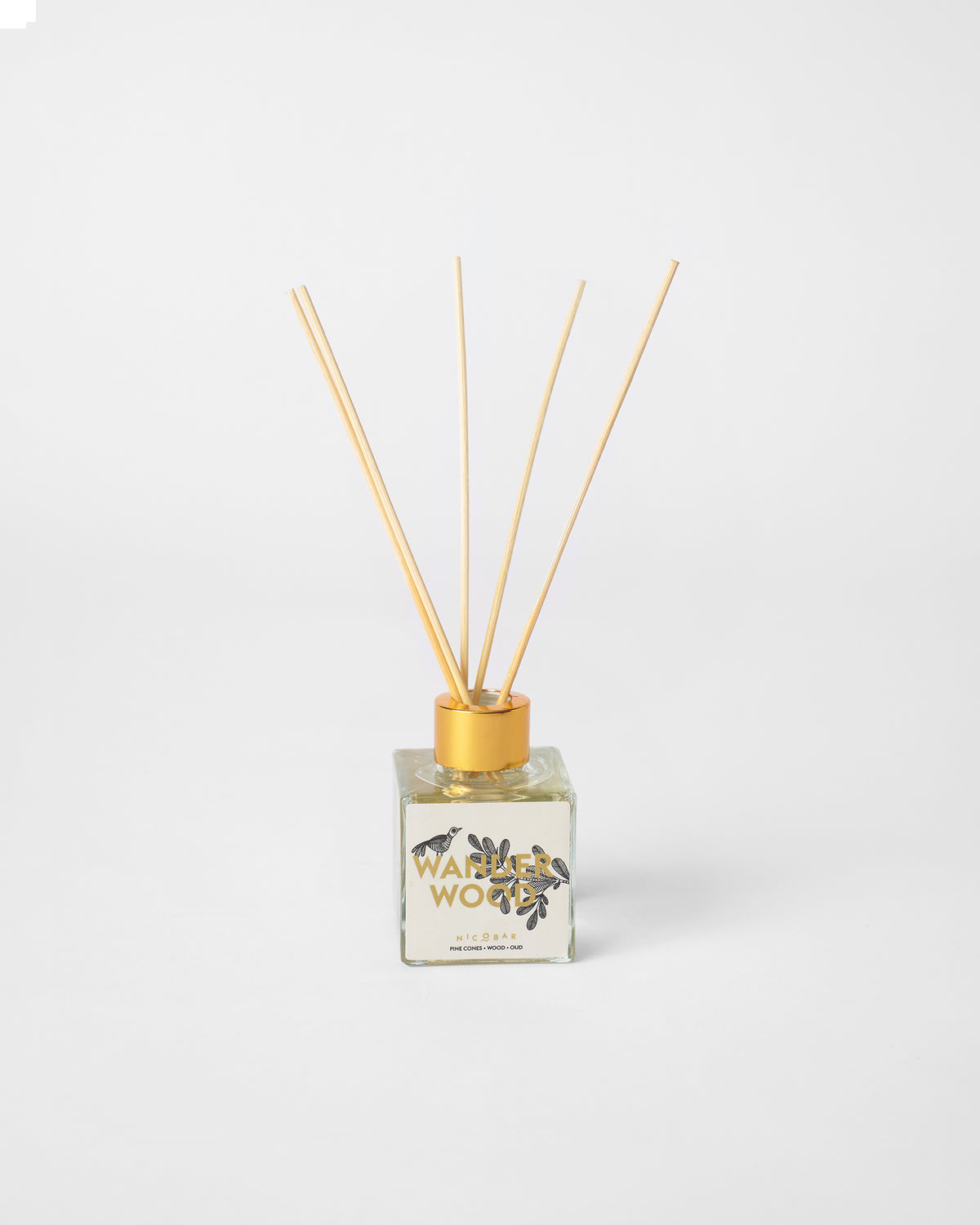 Wanderwood reed diffuser with reeds fanned from a gold-capped bottle.