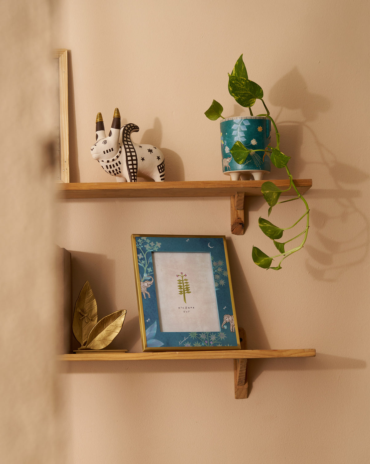 Midnight Tusk photo frame styled on a shelf with plants and decor.