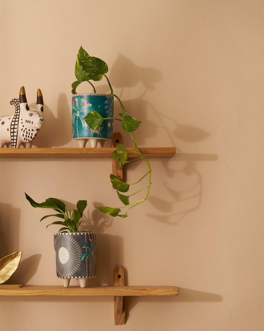 Palm Bloom planters with green plants on wooden wall shelves