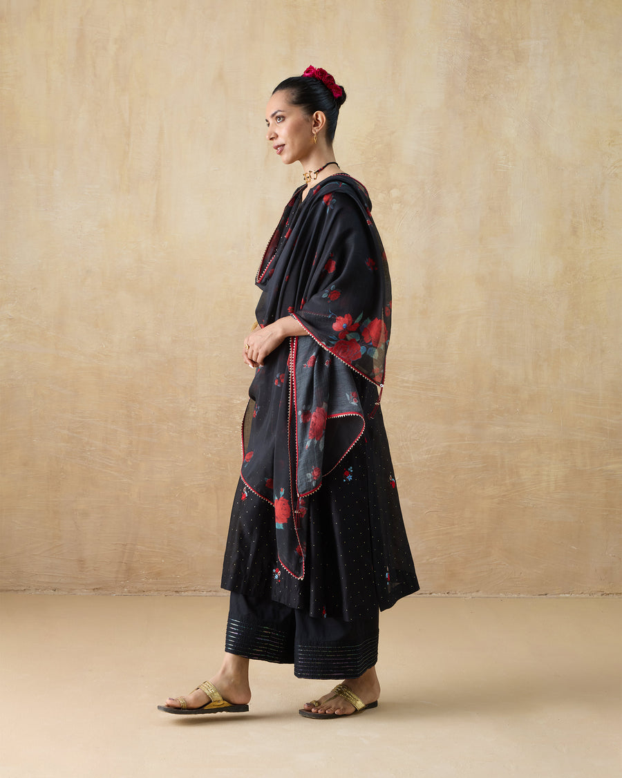 The Fizz Dupatta worn over the Moonbeam Kurta and Stellar Pants.