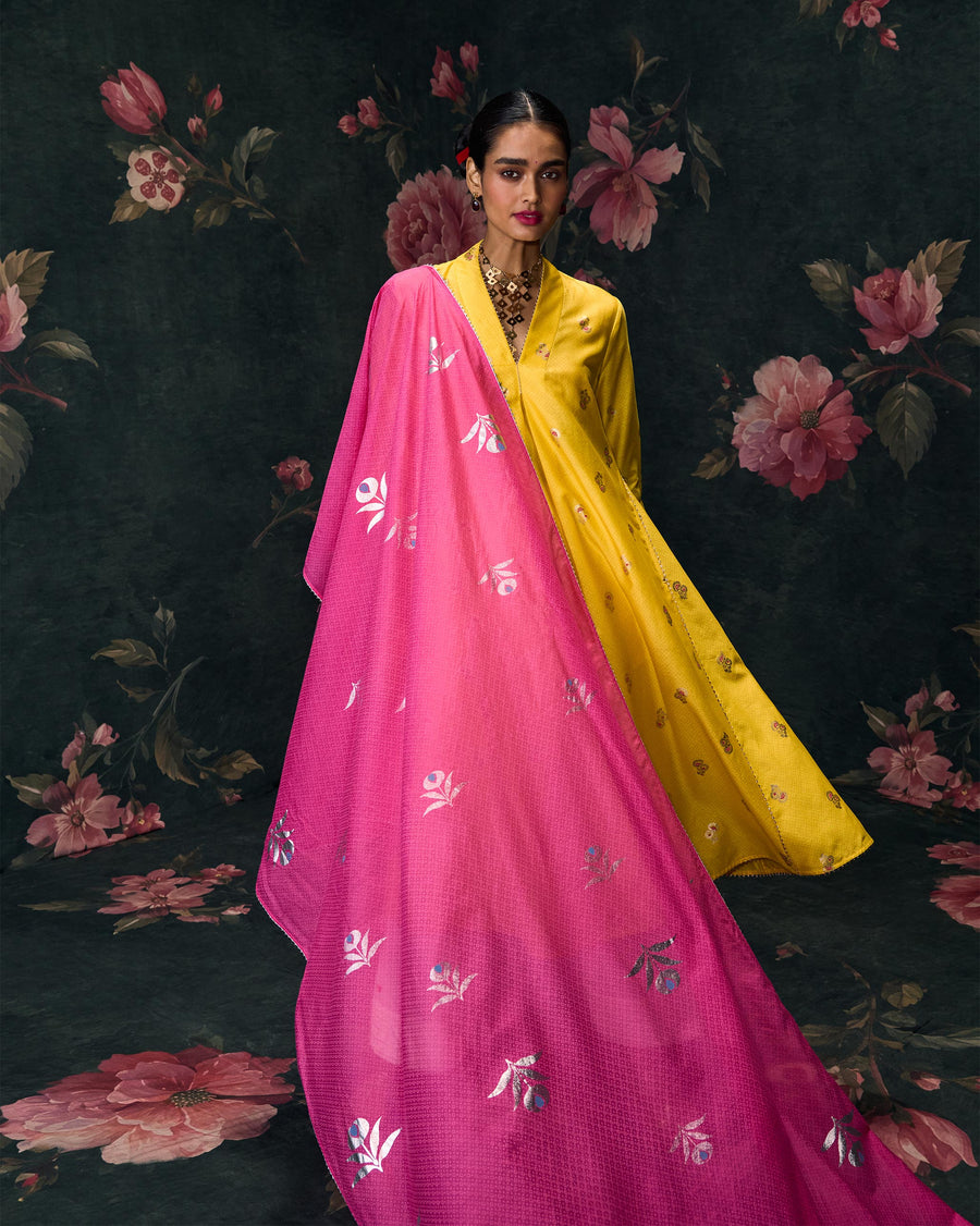 The Riverdance Dupatta worn over the chartreuse Viva Kurta against a dark floral backdrop.